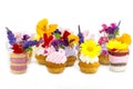 Canaps with edible flowers Royalty Free Stock Photo