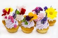 Canaps with edible flowers Royalty Free Stock Photo