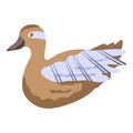 Canard duck icon, isometric style