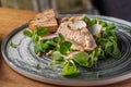 Canard Foie gras Pate made of the liver of a duck or goose with toasted bread slice