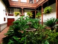 Canarian backyard with a rampage of green plants