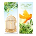 Canary In Free Flight Vertical Banners Royalty Free Stock Photo