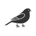 Canary glyph icon