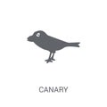 Canary icon. Trendy Canary logo concept on white background from