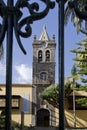 Canary institute behind a gate, La Laguna Royalty Free Stock Photo