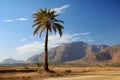 Canary Island date palm (Phoenix canariensis) - Canary Islands (Generative AI)