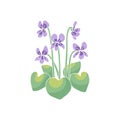 Canary islands stylized blue violet wild flower motif Royalty Free Stock Photo