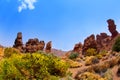 Canary islands in Tenerife Teide National Park Royalty Free Stock Photo