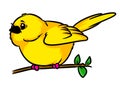 Canary little yellow bird animal character sitting branch cartoon illustration Royalty Free Stock Photo