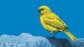Canary Near Waste Water With Risograph Ra 8100 Texture Royalty Free Stock Photo