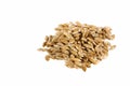 Canary seed - Phalaris canariensis. Text space Royalty Free Stock Photo