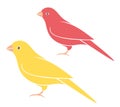 Canary. Set. Bird. Royalty Free Stock Photo