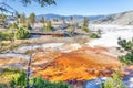 Canary Spring at Mammoth Hot Springs in Yellowstone National Park