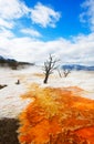 Canary Terraces, Yellowstone