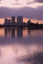 Canary wharf silhouette Royalty Free Stock Photo