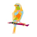 Canary wpap style Royalty Free Stock Photo