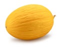 Canary yellow melon isolated on white background. File contains clipping path Royalty Free Stock Photo