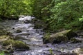 Cance / Cancon river - Le Neufbourg, Normandy, France