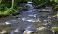 Cance / Cancon river - Le Neufbourg, Normandy, France