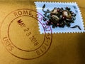 Canceled Postage Stamp from Rome, Georgia