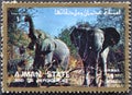 Cancelled postage stamp printed by Ajman, that shows African Elephant Royalty Free Stock Photo