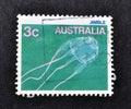 Cancelled postage stamp printed by Australia, that shows Jimble jellyfish