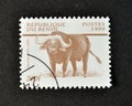 Cancelled postage stamp printed by Benin, that shows African Buffalo