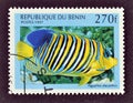 Cancelled postage stamp printed by Benin, that shows Regal Angel fish Royalty Free Stock Photo