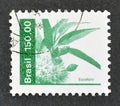 Cancelled postage stamp printed by Brazil, that shows Eucalipto - Eucalyptus