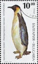 Cancelled postage stamp printed by Bulgaria, that shows Antarctic animal - Emperor Penguin