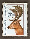 Cancelled postage stamp printed by Bulgaria, that shows Fallow Deer