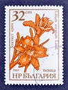 Cancelled postage stamp printed by Bulgaria, that shows Gold Cream