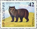 Cancelled postage stamp printed by Bulgaria, that shows Spectacled Bear