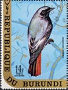 Cancelled postage stamp printed by Burundi, that shows The black redstart
