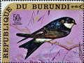 Cancelled postage stamp printed by Burundi, that shows The common house martin