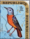 Cancelled postage stamp printed by Burundi, that shows The common rock thrush