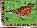 Cancelled postage stamp printed by Burundi, that shows Eurasian Skylark