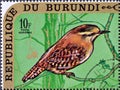 Cancelled postage stamp printed by Burundi, that shows Eurasian Wren