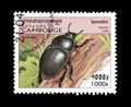 Beetles on postage stamps