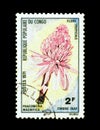 Red Ginger Lily flower on postage stamp