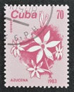 Cancelled postage stamp printed by Cuba, that shows Azucena flower Royalty Free Stock Photo