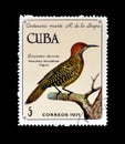 Cancelled postage stamp printed by Cuba, that shows Cuban Flicker