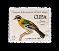Cancelled postage stamp printed by Cuba, that shows American KestrelCancelled postage stamp printed by Cuba, that shows Cuban West
