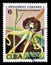 Flowers on postage stamps