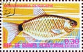 Cancelled postage stamp printed by Equatorial Guinea, that shows Glass Tetra