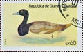 Cancelled postage stamp printed by Equatorial Guinea, that shows Greater Scaup