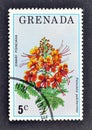 cancelled postage stamp printed by Grenada, that shows Dwarf Poinciana flower