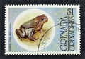 cancelled postage stamp printed by Grenada, that shows Marine Toad Royalty Free Stock Photo