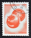 Cancelled postage stamp printed by Guinea Bissau, that shows Tomato