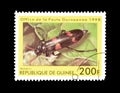 Beetles on postage stamps